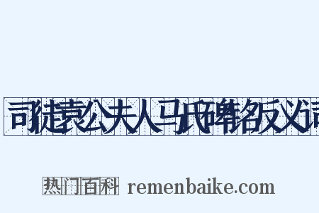 司徒袁公夫人马氏碑铭反义词是什么意思的图片